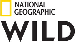 Nat Geo Wild TV